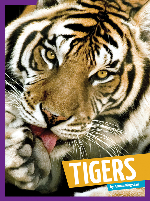 Title details for Tigers by Arnold Ringstad - Available